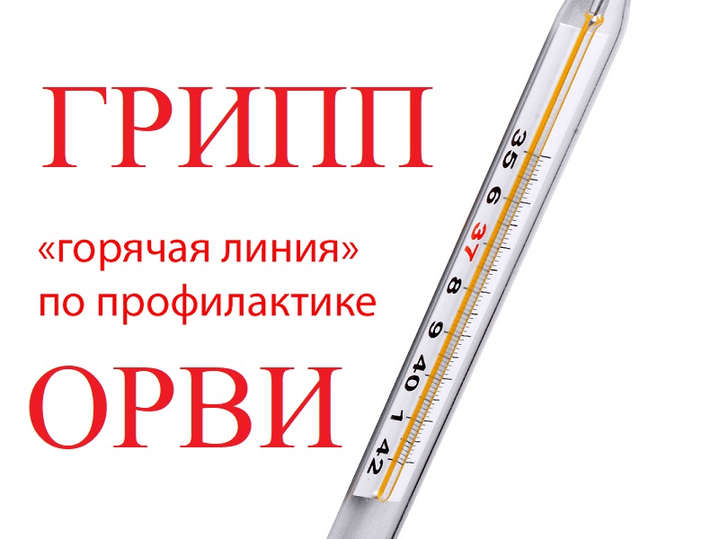 Внимание! Со 2 по 13 октября проводится горячая линия по вопросам профилактики гриппа и ОРВИ.