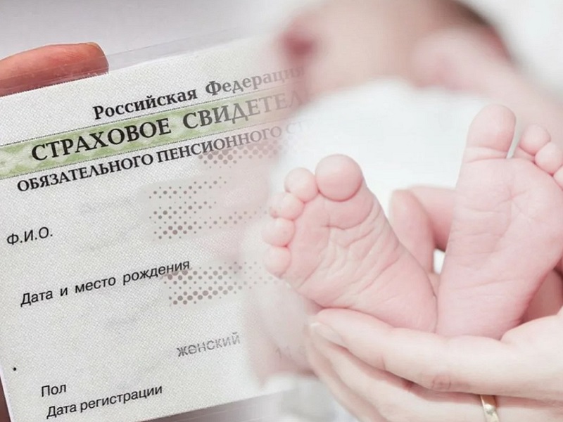 С начала 2025 года Отделение Социального фонда России по Вологодской области проактивно оформило СНИЛС  3 тысячам новорождённых.