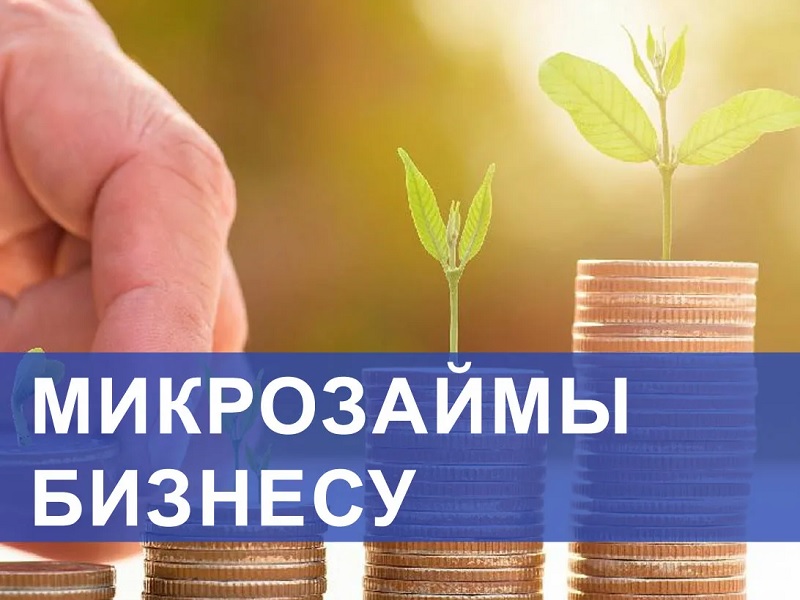 Новый финансовый продукт: в рамках нацпроекта  предприниматели Вологодчины могут получить микрозаем до 2-х млн рублей по ставке ниже Центробанка.