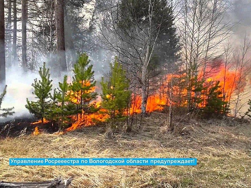 В Вологодском Росреестре напомнили о неукоснительном соблюдении Правил пожарной безопасности.