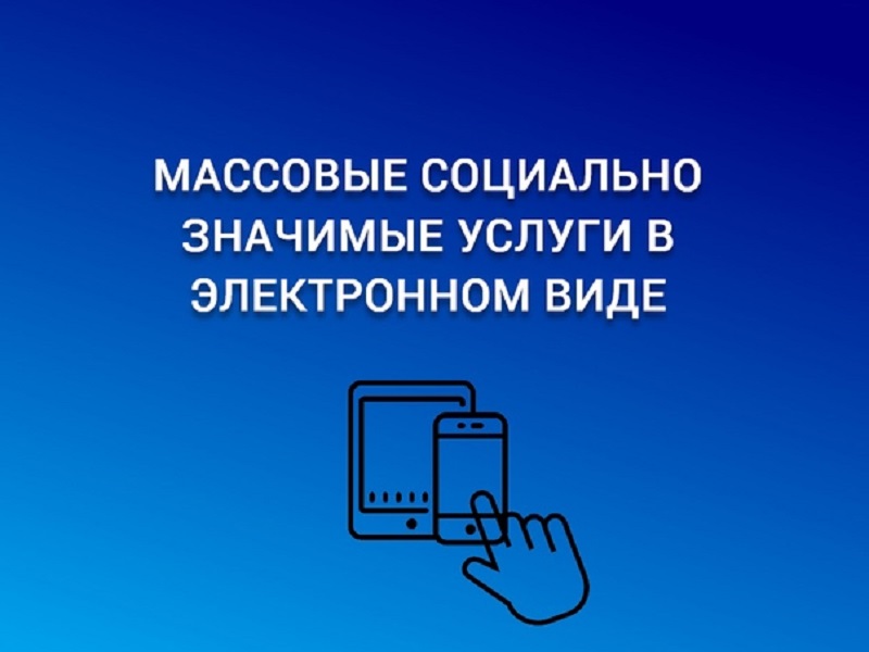 Получение массовых социально значимых услуг с помощью Единого портала государственных услуг (функций).