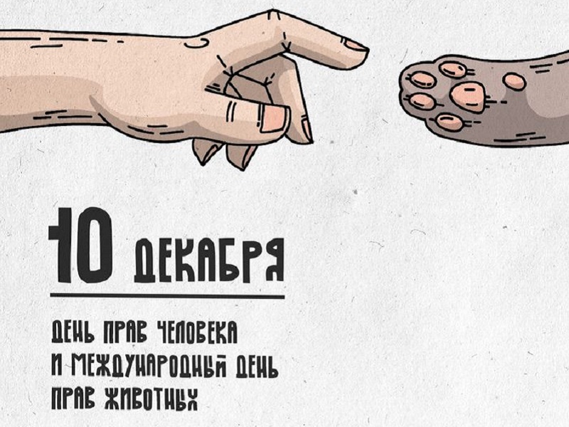 День прав человека и животных отмечается сегодня.