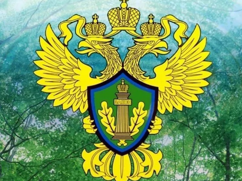 Череповецкой межрайонной природоохранной прокуратурой проведена проверка исполнения законодательства в сфере обращения с отходами.