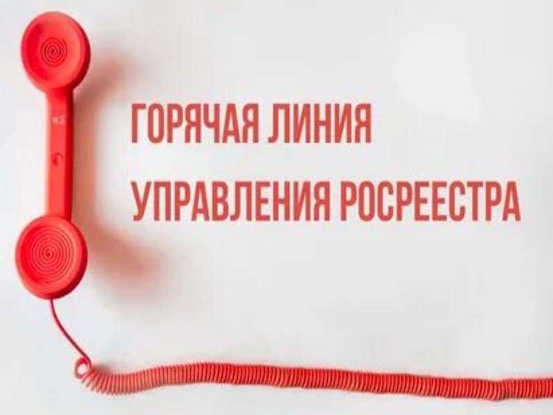 31 марта вологжан проконсультируют по вопросам земельного надзора.