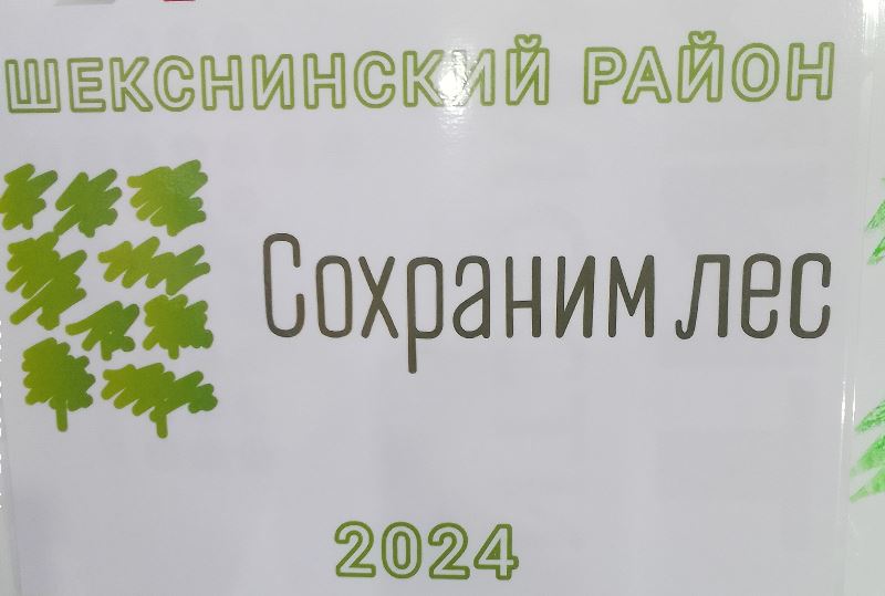 В  Шекснинском  районе  в  рамках  Всероссийской  акции  «Сохраним  Лес»  высажено 1000  кедров  и более  80 саженцев  лип и дубов!.