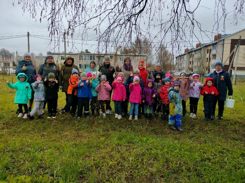 Акция «Сад Памяти» продолжается на территории Шекснинского муниципального района.