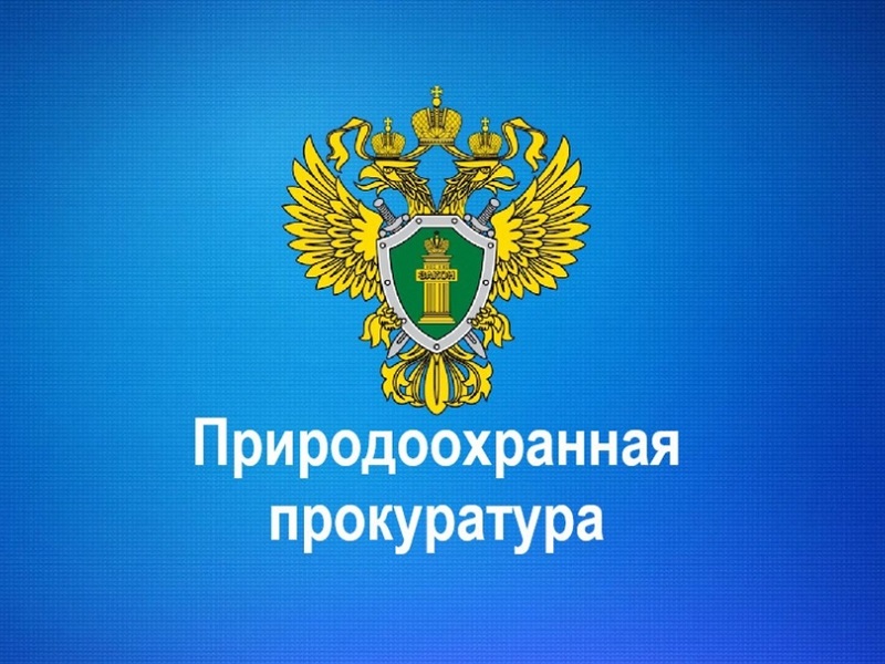 Череповецкой межрайонной природоохранной прокуратурой проведена проверка по фактам нарушения лесного законодательства.