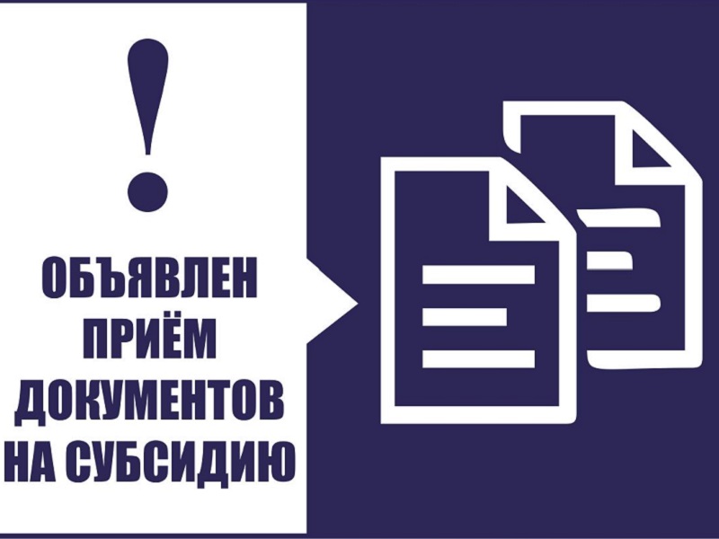 Объявлен отбор участников на получение субсидий для развозной торговли на 2025 год.