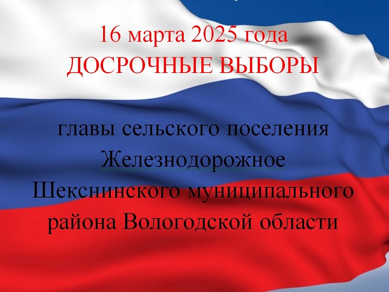 Информация о деятельности территориальной избирательной комиссии Шекснинского муниципального района.