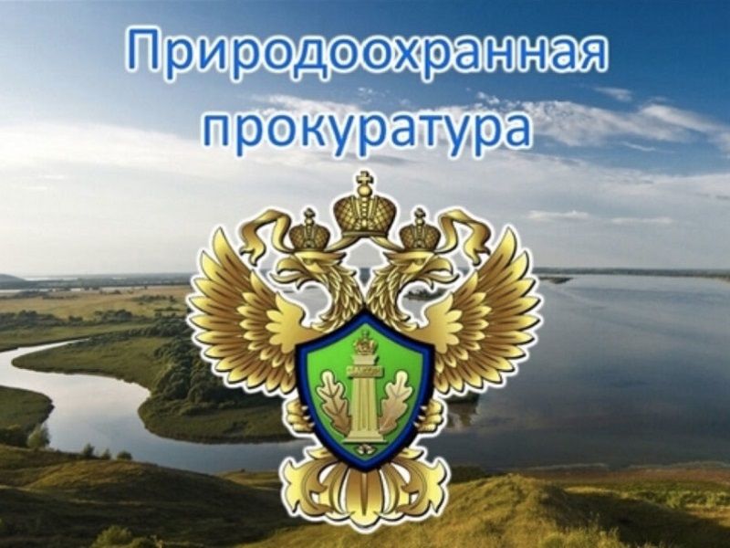 В Вологодской области после вмешательства природоохранной прокуратуры на особо охраняемой природной территории снесена самовольная постройка.