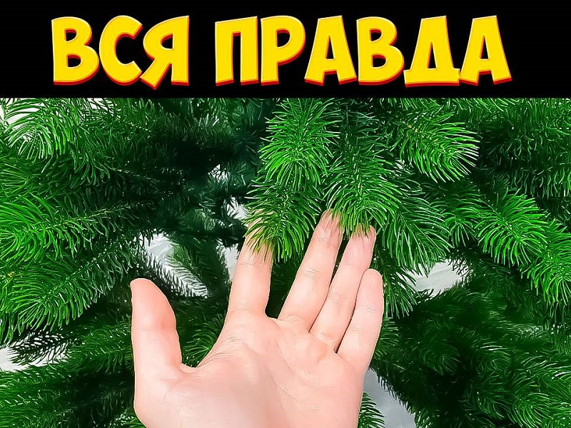 ВСЯ ПРАВДА.