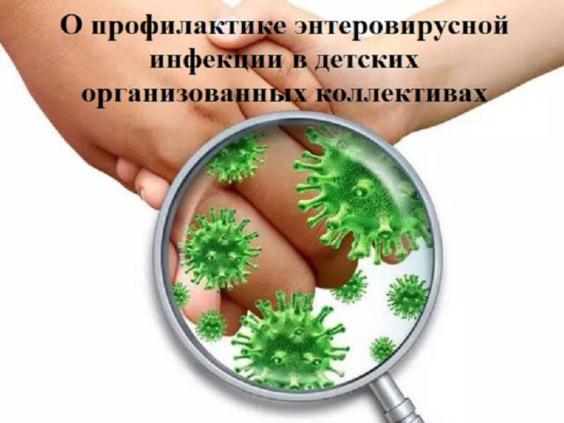 О профилактике энтеровирусной инфекции в детских организованных коллективах.