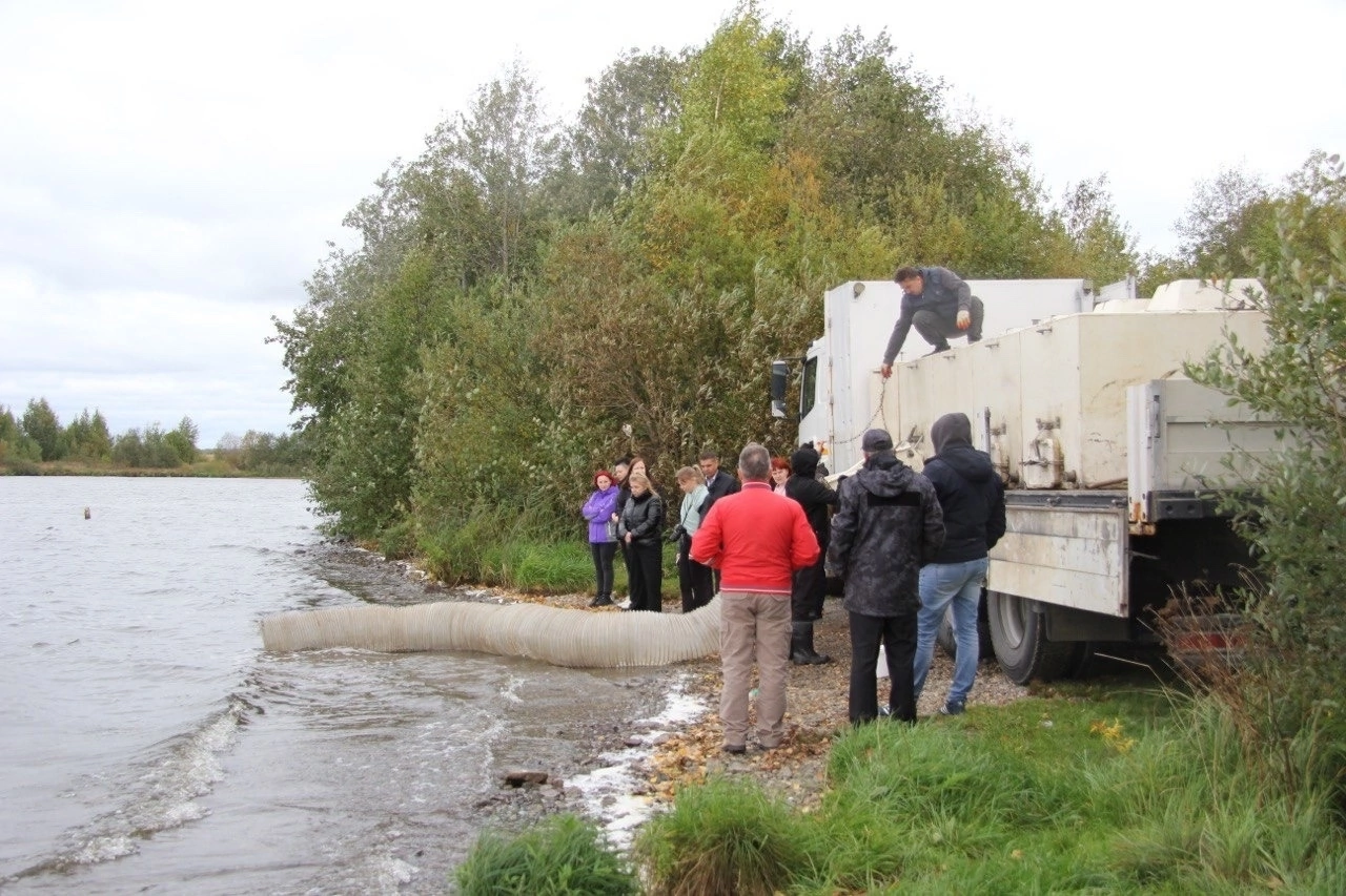 Выпуск мальков стерляди в Шекснинское водохранилище.