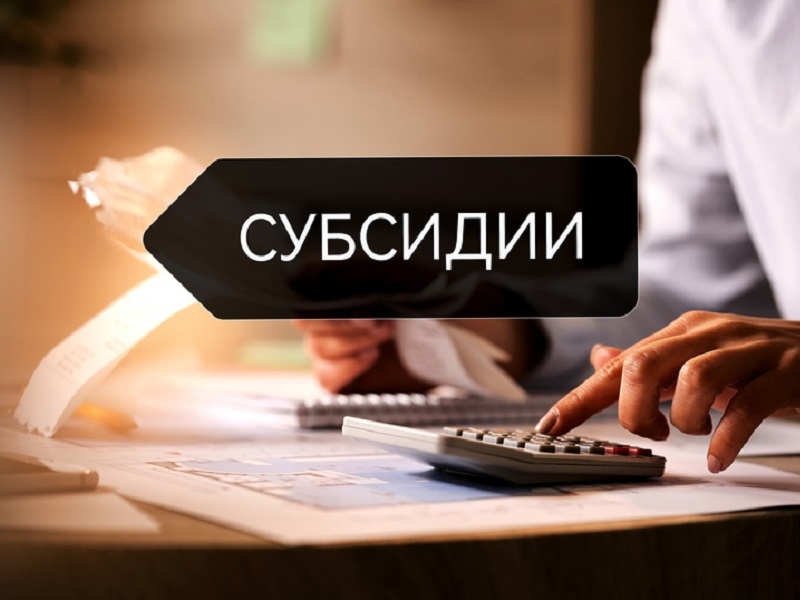 Объявлен отбор участников на получение субсидий на возмещение части затрат организациям любых форм собственности и индивидуальным предпринимателям, занимающимся доставкой товаров в социально значимые магазины в малонаселенные и (или) труднодоступные насел.