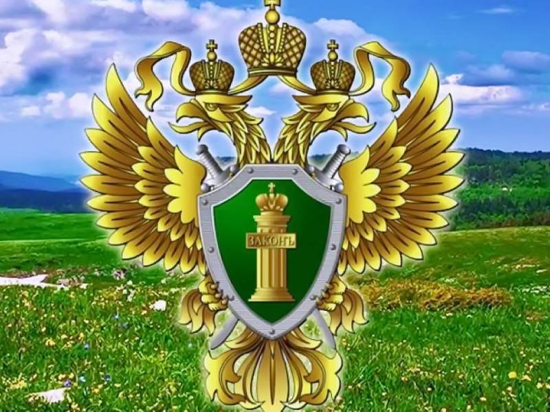 Череповецкая межрайонная природоохранная прокуратура провела проверку исполнения лесного законодательства.