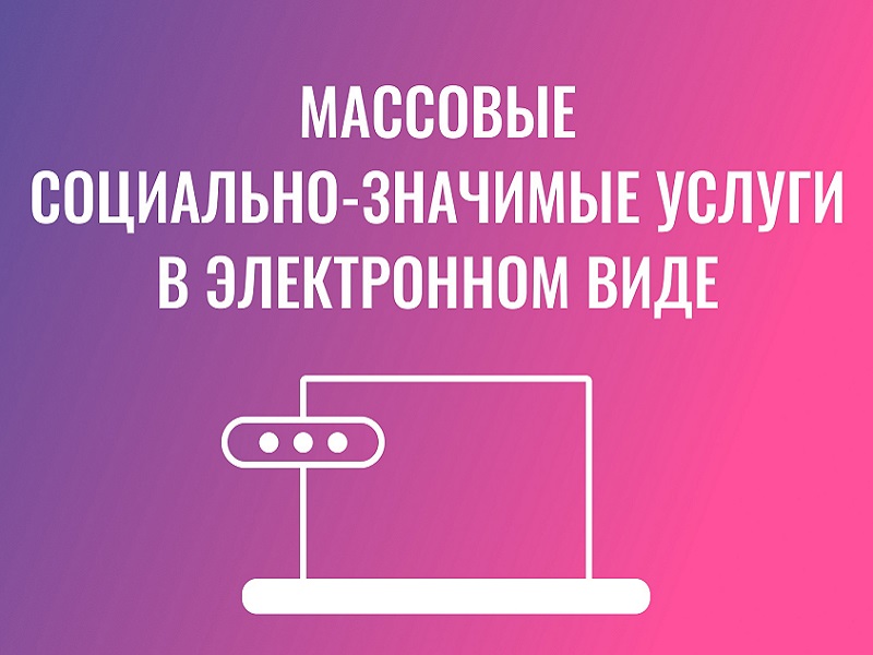 Предоставление массовых социально значимых услуг.