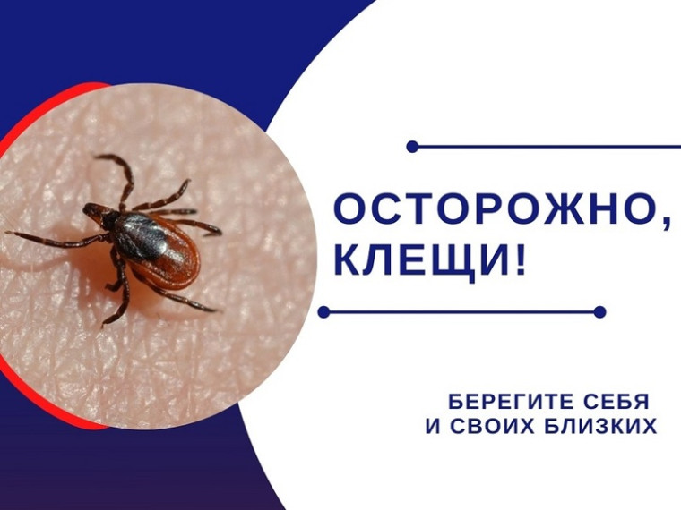 Итоги сезона активности клещей. Итоги сезона активности клещей.