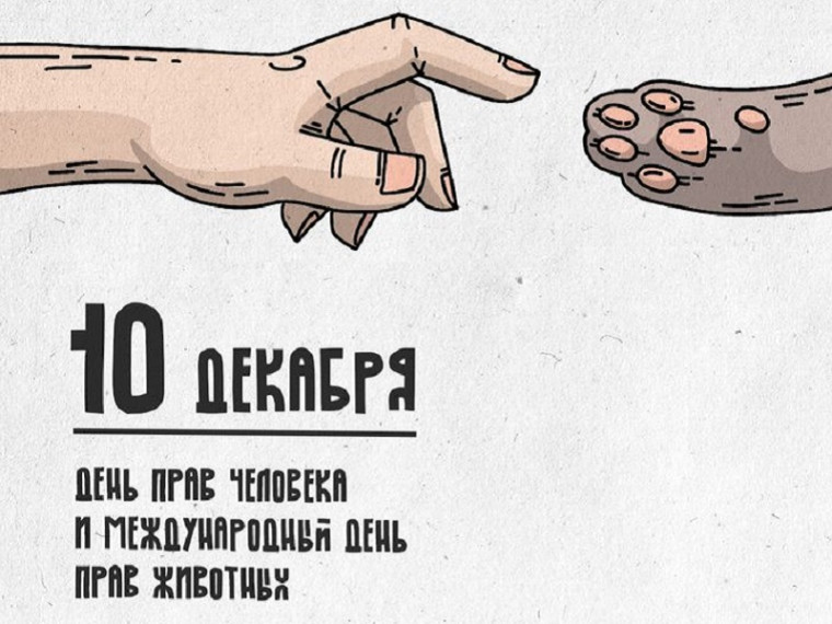 День прав человека и животных отмечается сегодня. День прав человека и животных отмечается сегодня.