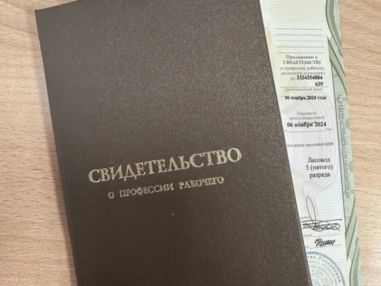 Профориентационный проект для школьников «Первая профессия». Профориентационный проект для школьников «Первая профессия».