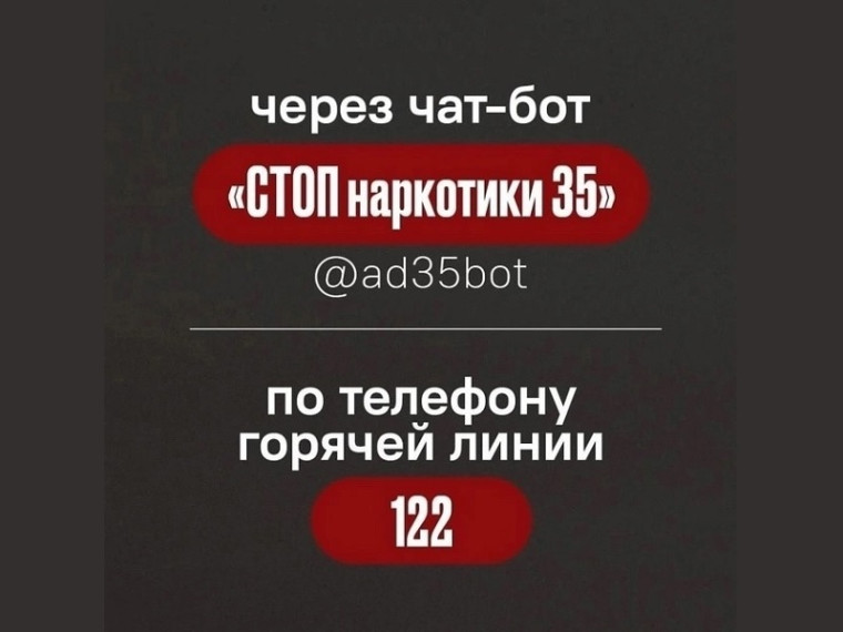 Чат-бот «СТОП наркотики 35». Чат-бот «СТОП наркотики 35».