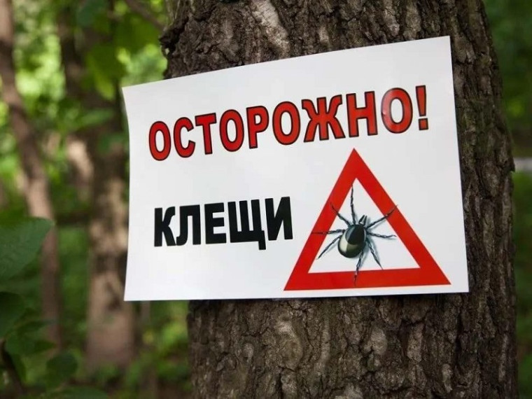Внимание! Клещи вышли на охоту!. Внимание! Клещи вышли на охоту!.