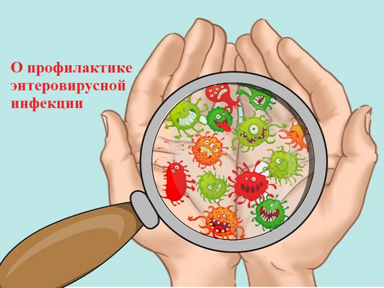 О профилактике энтеровирусной инфекции. О профилактике энтеровирусной инфекции.