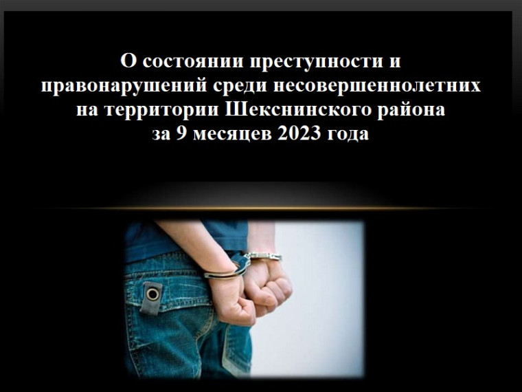Справка о состоянии преступности и правонарушений среди несовершеннолетних на территории Шекснинского района за 9 месяцев 2023 года. Справка о состоянии преступности и правонарушений среди несовершеннолетних на территории Шекснинского района за 9 месяцев 2023 года.